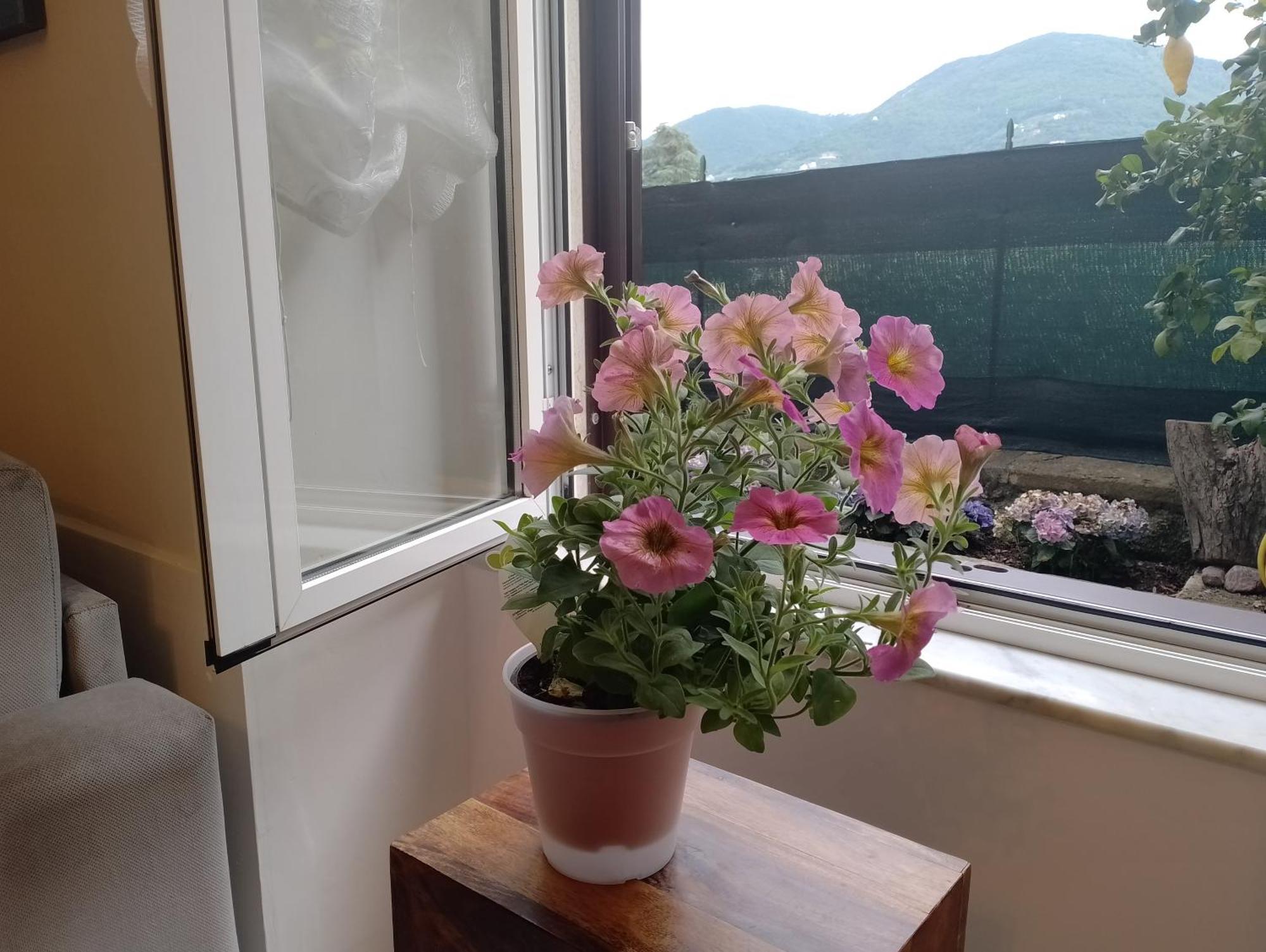 Apartment Casa Veve' *